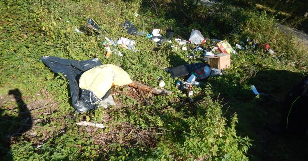 Obcokrajowiec mieszający w Mierzynie ukarany za zaśmiecanie lasu